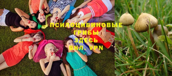 мескалин Абинск
