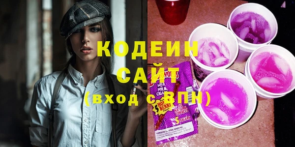 гашик Пересвет