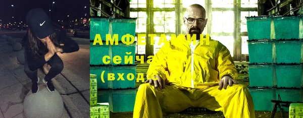 гашик Пересвет
